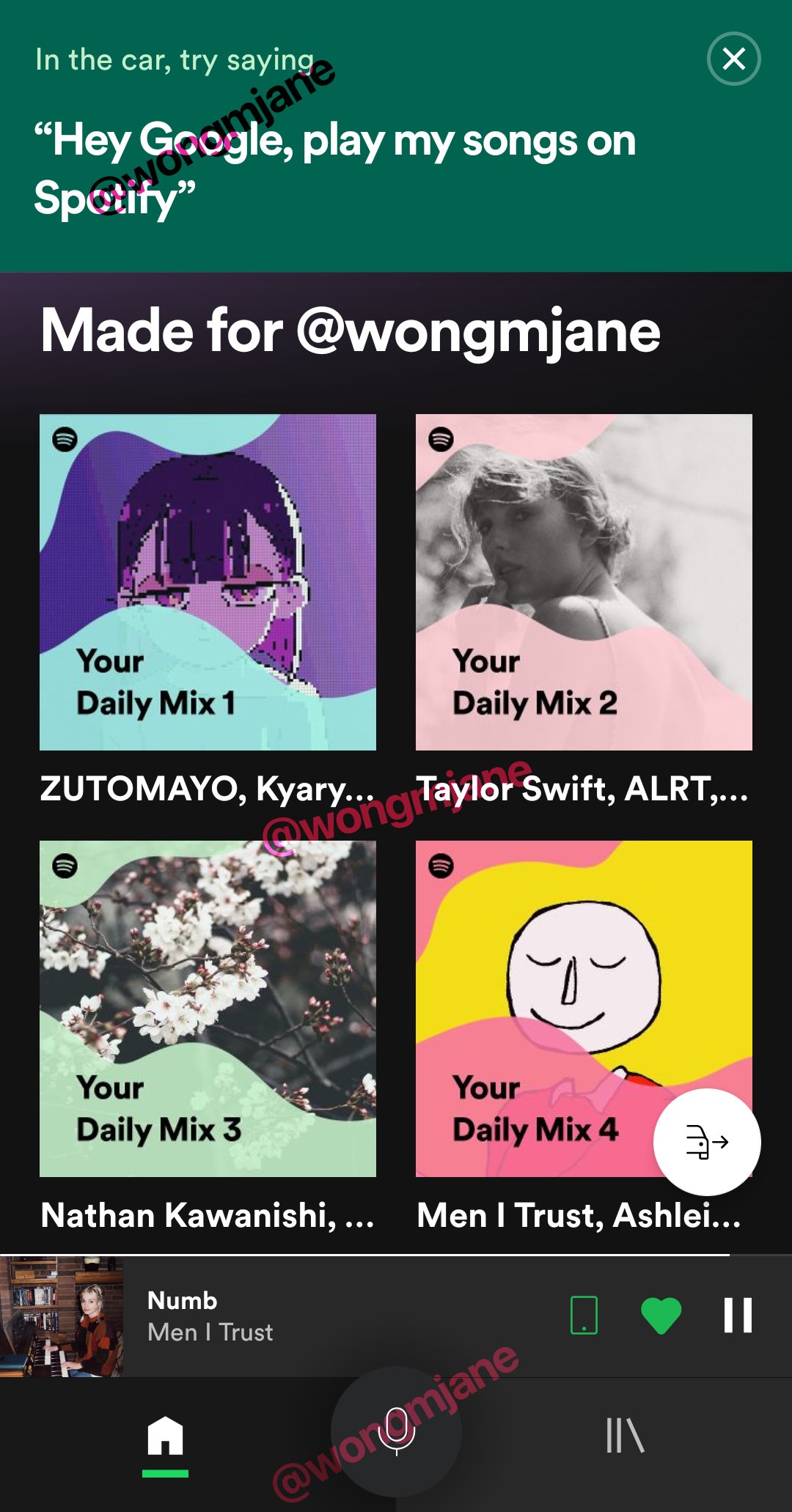 Can you download your daily mix on spotify subscription